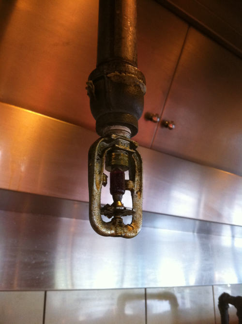 Gem EA-1 Protectospray Head