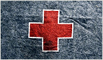 Red Cross Haitian Disaster Relief